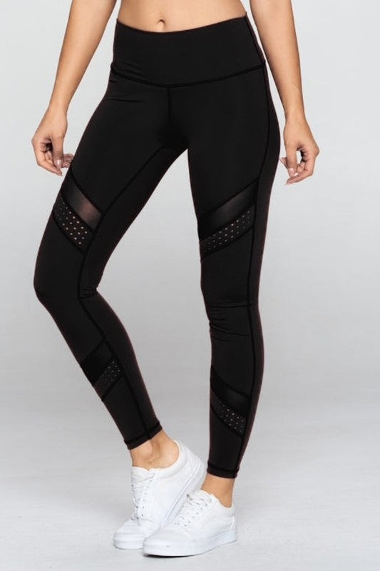 Velocity Mesh Panel Leggings S2-M2-L2 6 pcs 1 pack
